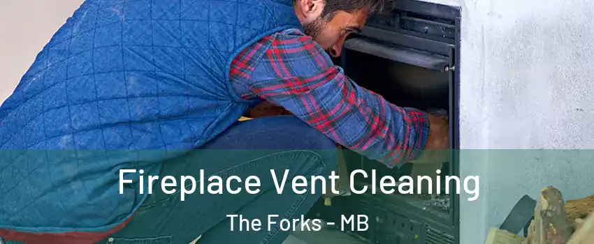  Fireplace Vent Cleaning The Forks - MB