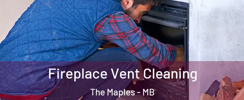  Fireplace Vent Cleaning The Maples - MB
