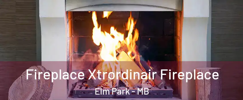  Fireplace Xtrordinair Fireplace Elm Park - MB