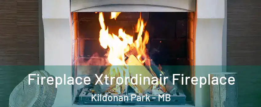  Fireplace Xtrordinair Fireplace Kildonan Park - MB