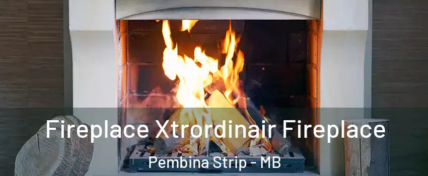  Fireplace Xtrordinair Fireplace Pembina Strip - MB