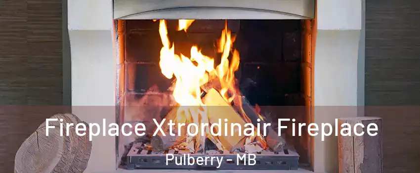  Fireplace Xtrordinair Fireplace Pulberry - MB
