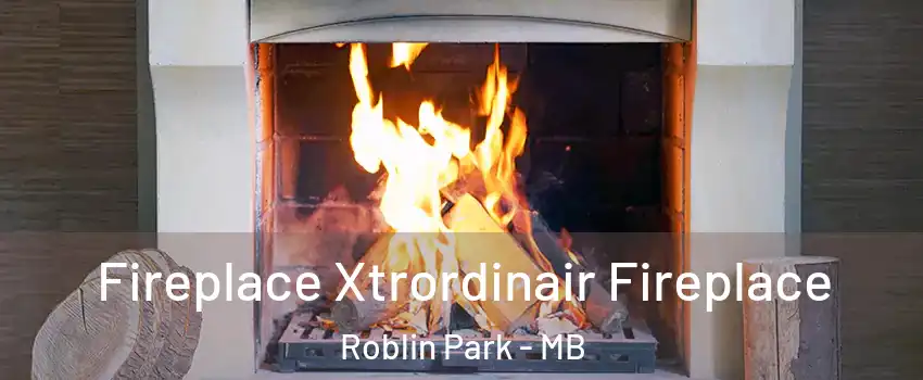  Fireplace Xtrordinair Fireplace Roblin Park - MB