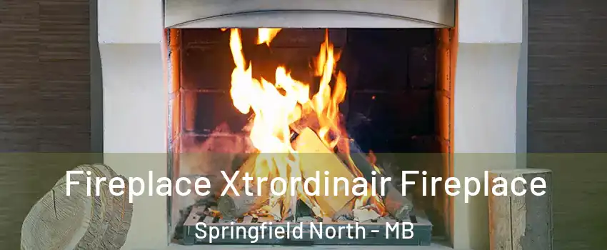  Fireplace Xtrordinair Fireplace Springfield North - MB
