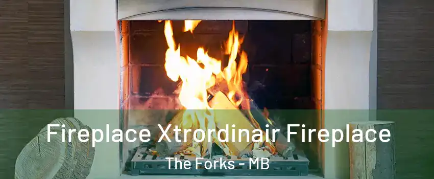  Fireplace Xtrordinair Fireplace The Forks - MB