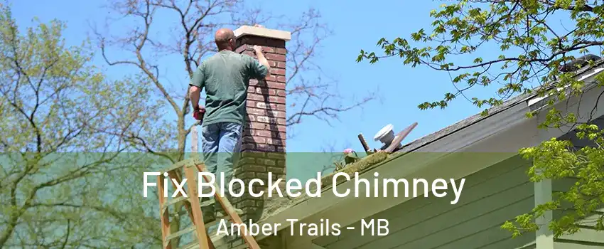  Fix Blocked Chimney Amber Trails - MB