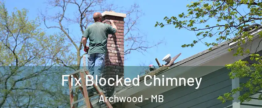 Fix Blocked Chimney Archwood - MB