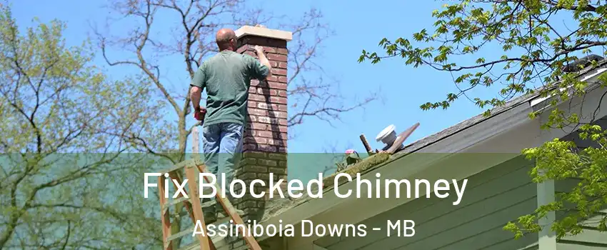  Fix Blocked Chimney Assiniboia Downs - MB