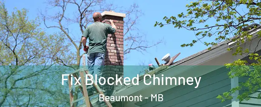 Fix Blocked Chimney Beaumont - MB