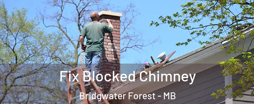  Fix Blocked Chimney Bridgwater Forest - MB
