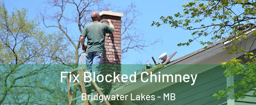  Fix Blocked Chimney Bridgwater Lakes - MB