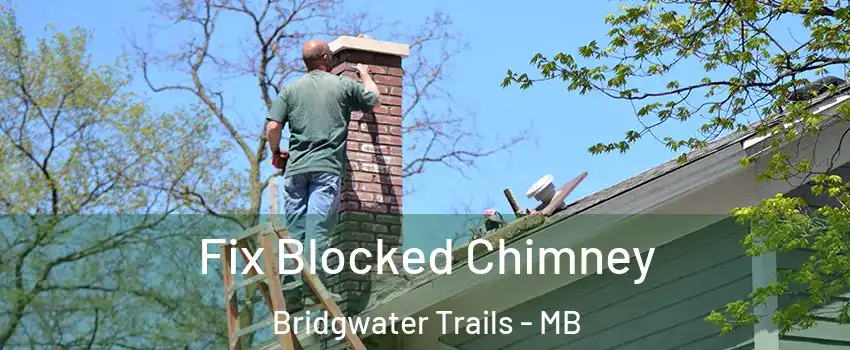  Fix Blocked Chimney Bridgwater Trails - MB