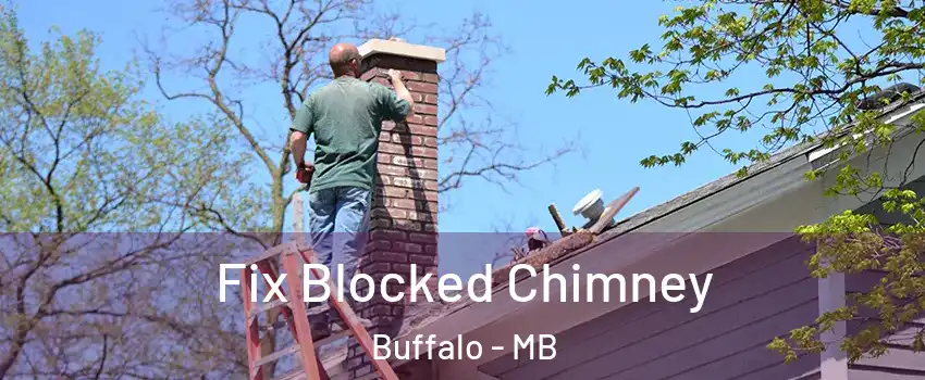  Fix Blocked Chimney Buffalo - MB