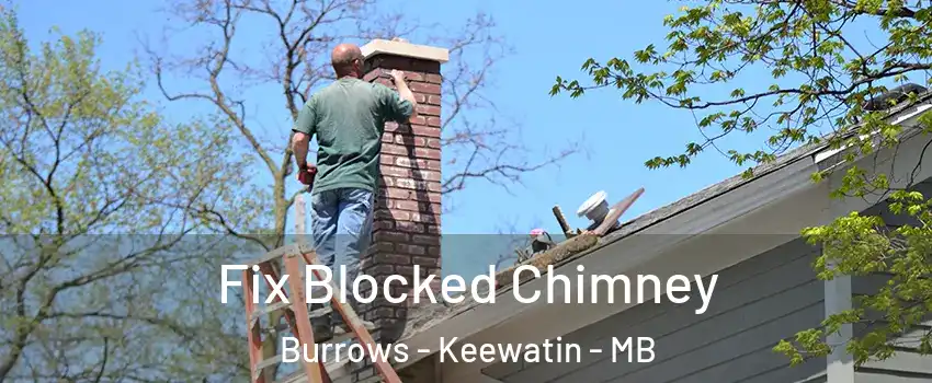 Fix Blocked Chimney Burrows - Keewatin - MB