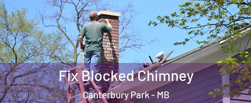  Fix Blocked Chimney Canterbury Park - MB
