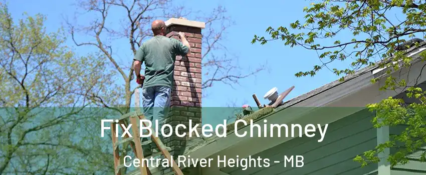  Fix Blocked Chimney Central River Heights - MB