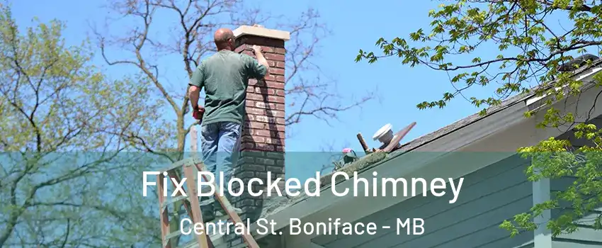  Fix Blocked Chimney Central St. Boniface - MB