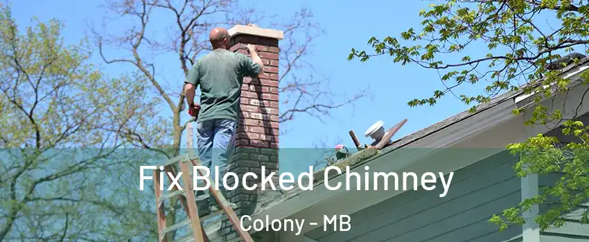  Fix Blocked Chimney Colony - MB