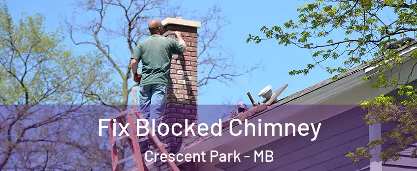  Fix Blocked Chimney Crescent Park - MB