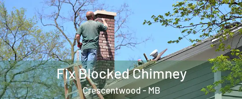  Fix Blocked Chimney Crescentwood - MB