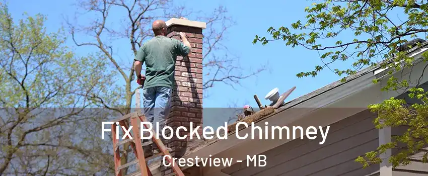  Fix Blocked Chimney Crestview - MB