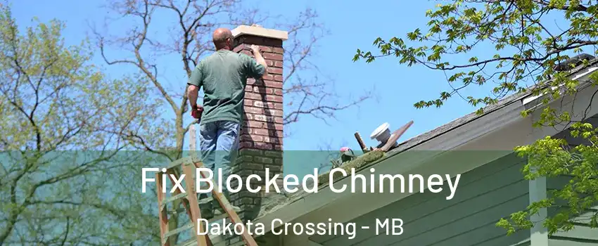  Fix Blocked Chimney Dakota Crossing - MB