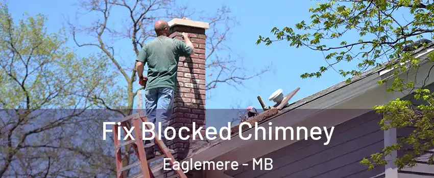  Fix Blocked Chimney Eaglemere - MB