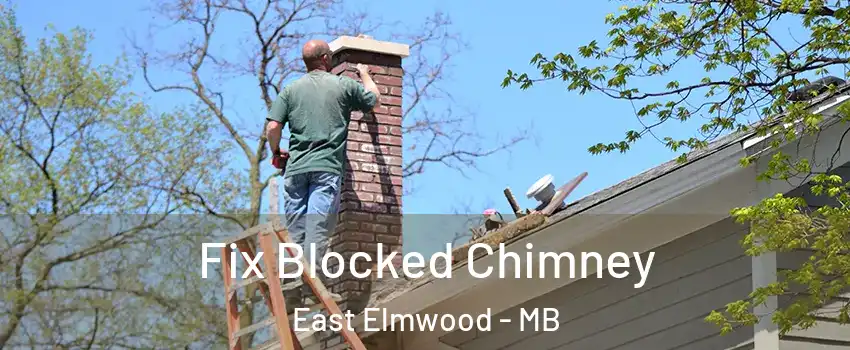  Fix Blocked Chimney East Elmwood - MB