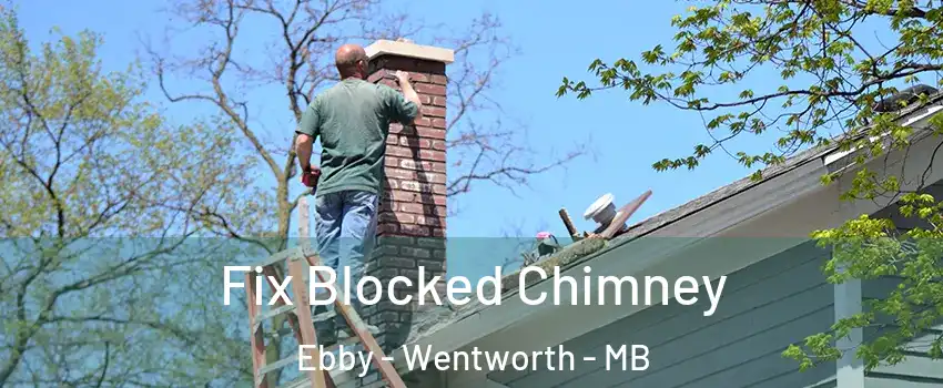  Fix Blocked Chimney Ebby - Wentworth - MB