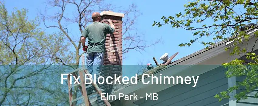  Fix Blocked Chimney Elm Park - MB