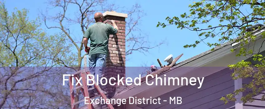  Fix Blocked Chimney Exchange District - MB