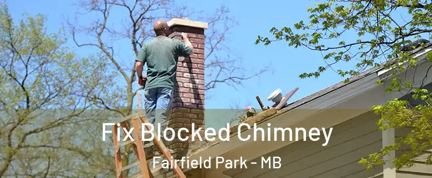  Fix Blocked Chimney Fairfield Park - MB