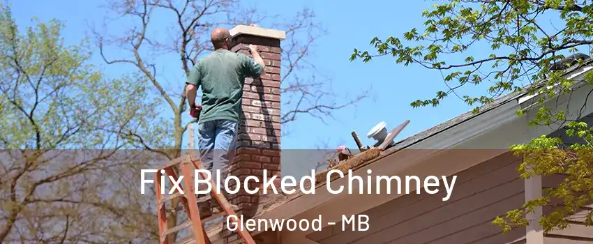  Fix Blocked Chimney Glenwood - MB