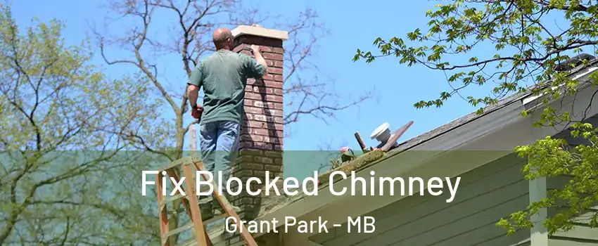  Fix Blocked Chimney Grant Park - MB