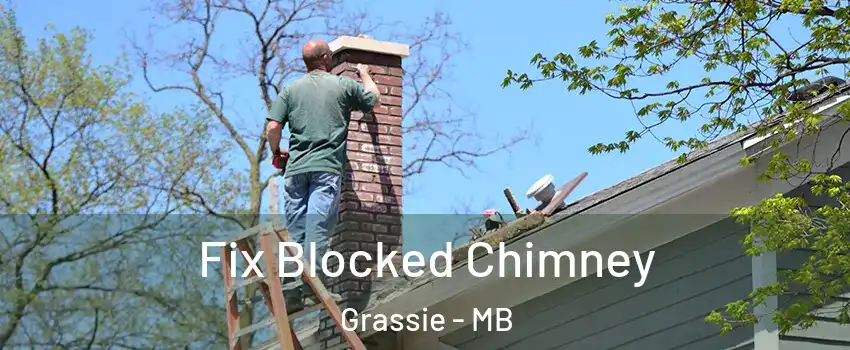  Fix Blocked Chimney Grassie - MB