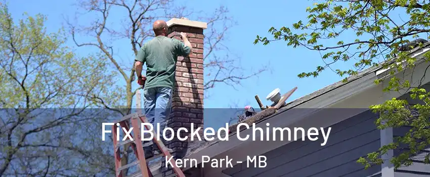  Fix Blocked Chimney Kern Park - MB