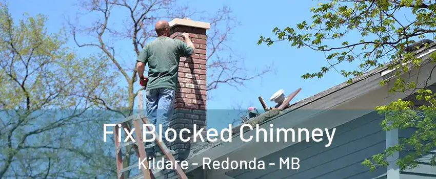  Fix Blocked Chimney Kildare - Redonda - MB