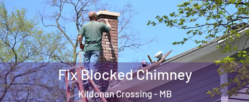  Fix Blocked Chimney Kildonan Crossing - MB
