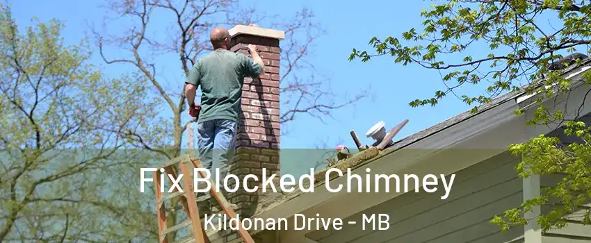  Fix Blocked Chimney Kildonan Drive - MB