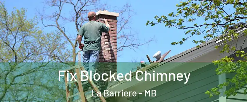  Fix Blocked Chimney La Barriere - MB