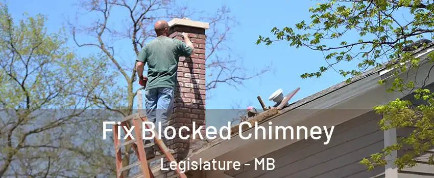 Fix Blocked Chimney Legislature - MB
