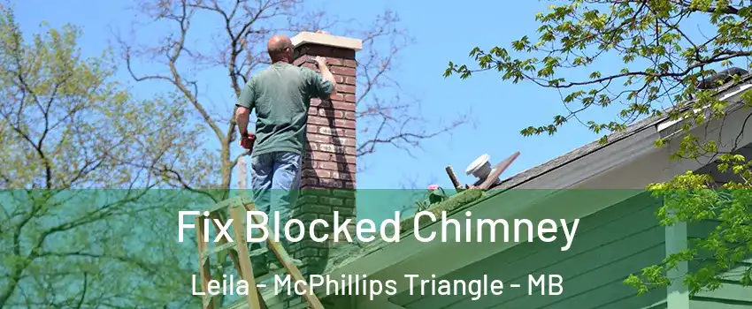  Fix Blocked Chimney Leila - McPhillips Triangle - MB