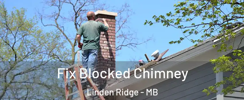  Fix Blocked Chimney Linden Ridge - MB