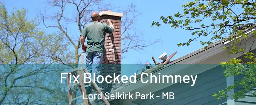  Fix Blocked Chimney Lord Selkirk Park - MB