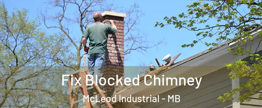  Fix Blocked Chimney McLeod Industrial - MB