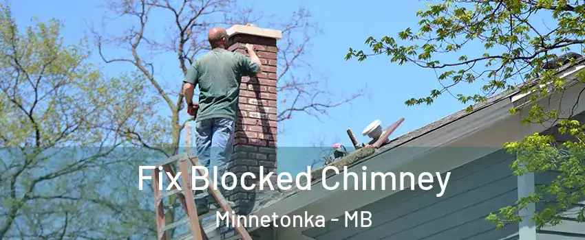  Fix Blocked Chimney Minnetonka - MB