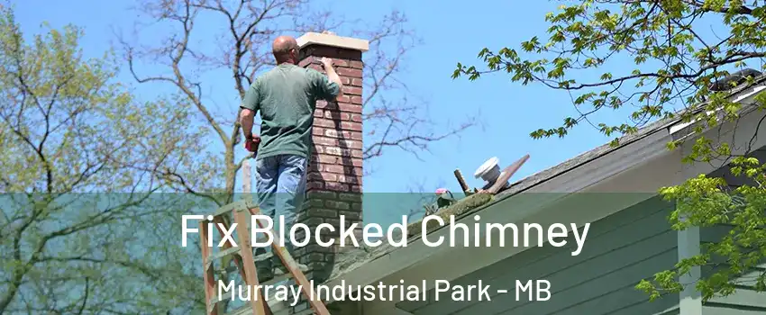  Fix Blocked Chimney Murray Industrial Park - MB