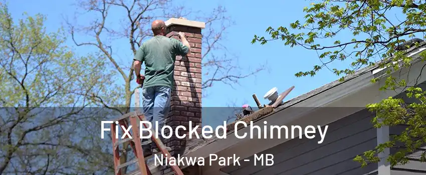  Fix Blocked Chimney Niakwa Park - MB