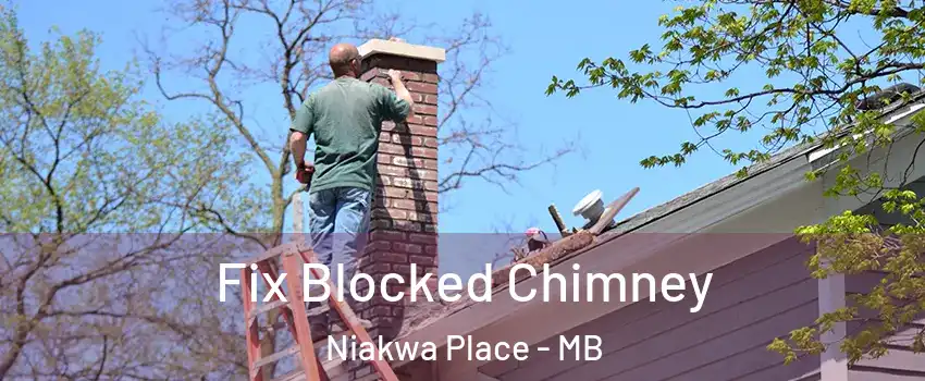  Fix Blocked Chimney Niakwa Place - MB