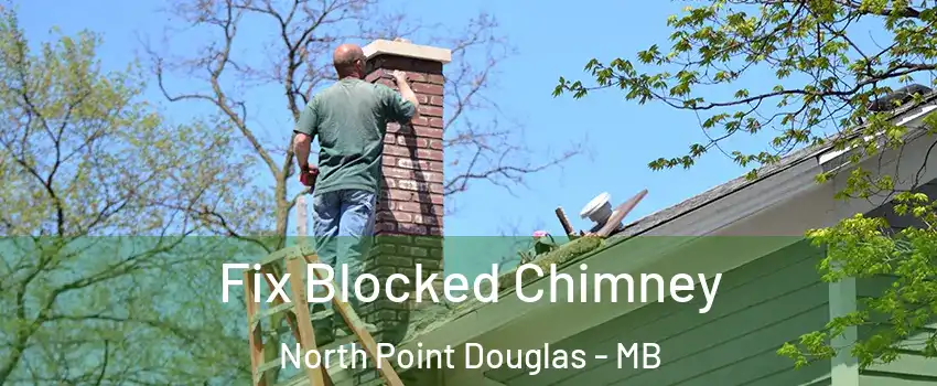  Fix Blocked Chimney North Point Douglas - MB